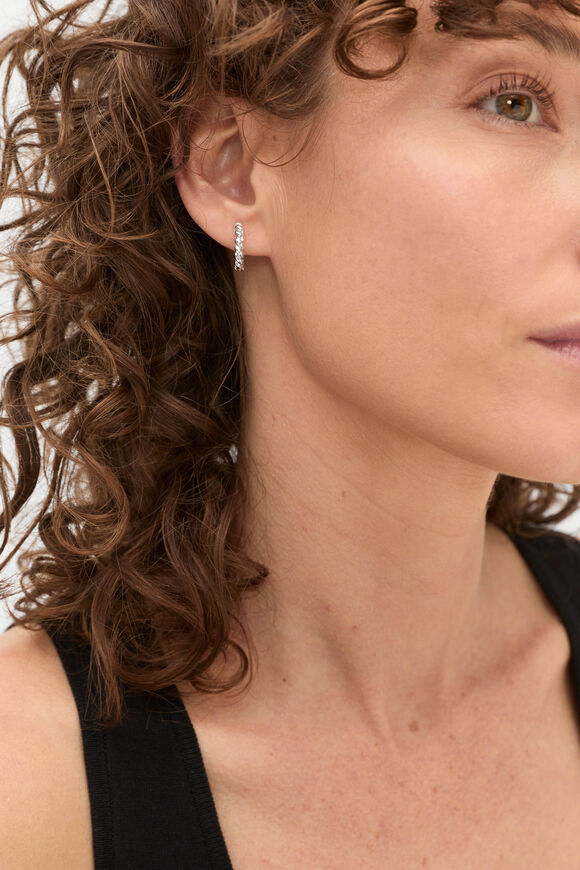 Fine Rope Earring  Silver  hi-res