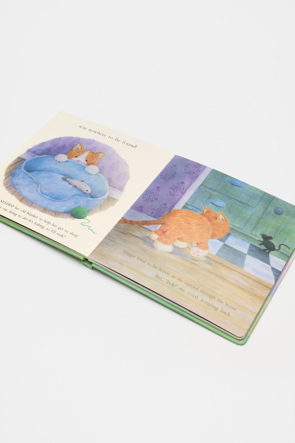 Ginger  The Courageous Kitten Book  Multi