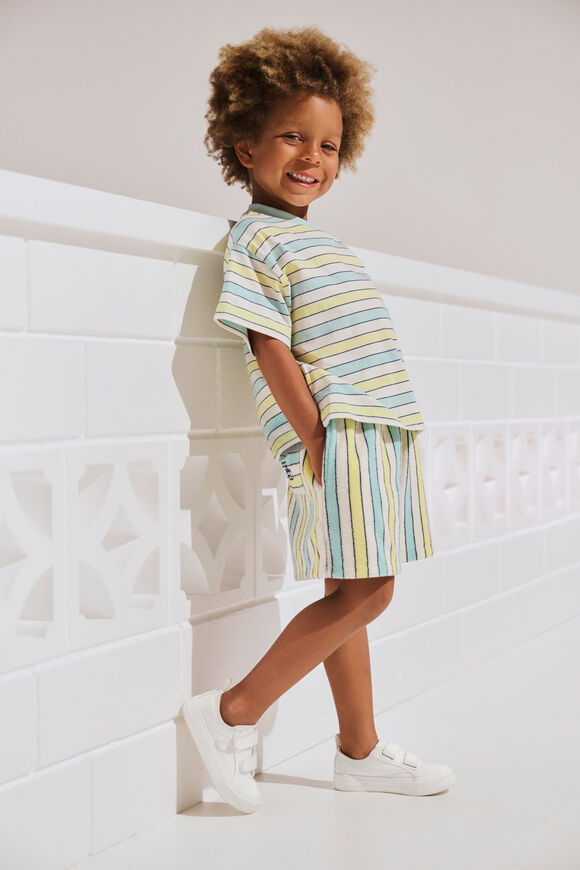 Stripe Short  Multi Stripe  hi-res