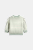 Logo Stripe Knit  Sage Stripe  hi-res