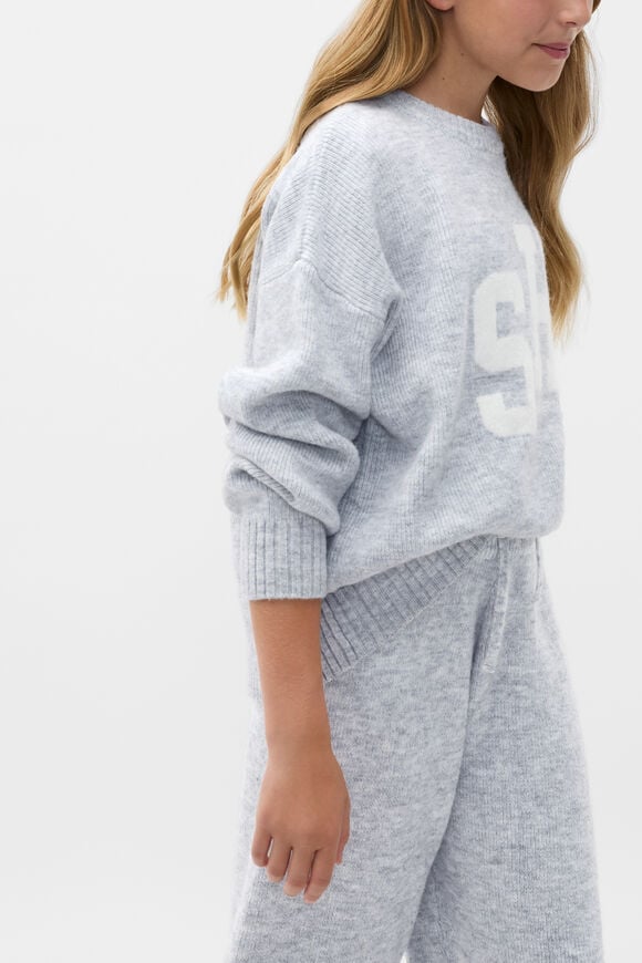 Logo Knit Sweater  Cloud Grey Marle  hi-res