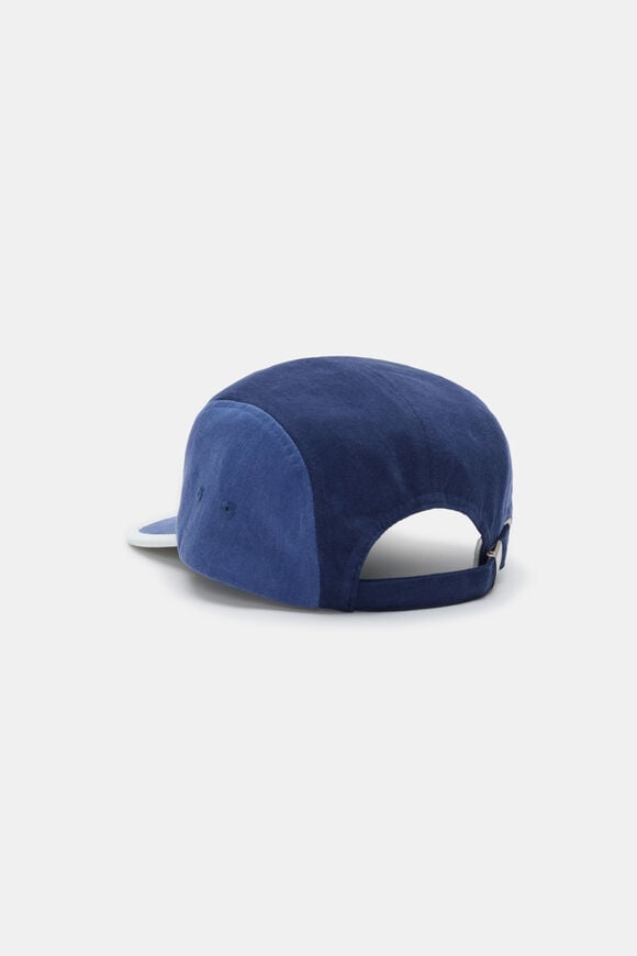 5 Panel Cap  Multi  hi-res