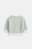 Core Knit Sweater  Forest  hi-res