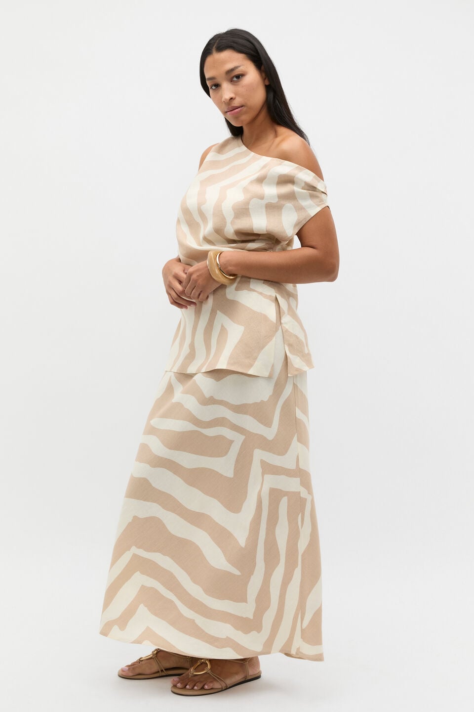 Abstract Animal Asymmetric Top  Abstract Animal