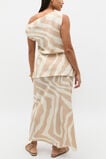 Abstract Animal Asymmetric Top  Abstract Animal  hi-res