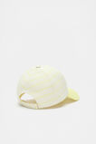Seed Cap  Lemongrass  hi-res