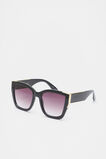 Cynthia Oversized Sunglasses  Black  hi-res