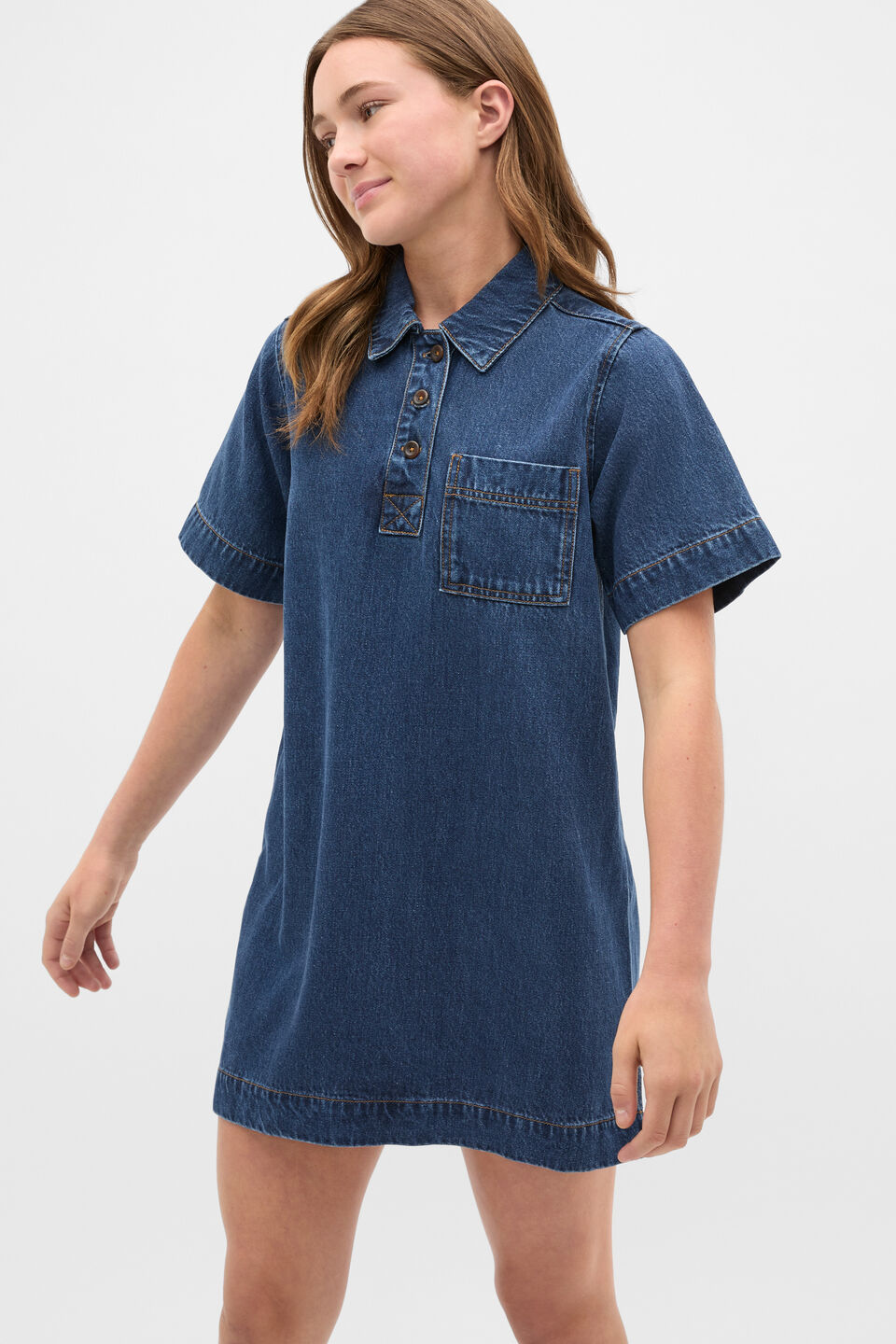 Collar Denim Dress  Ink Wash