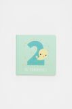 Two Is Terrific Book  Multi  hi-res