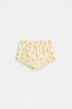 Sunny Bloomer  Sunshine  hi-res