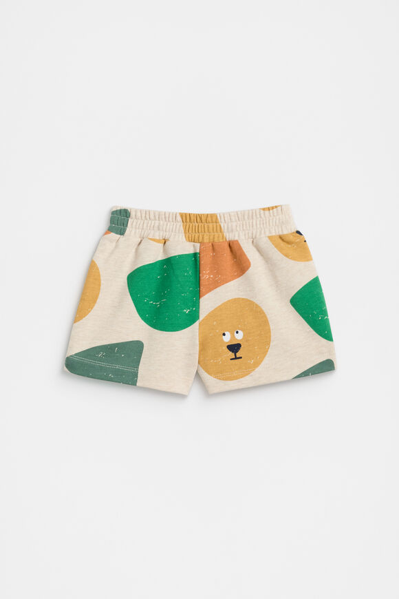 Lion Shapes Short  Multi  hi-res