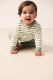 Logo Stripe Knit  Sage Stripe  hi-res