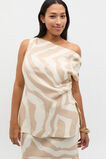 Abstract Animal Asymmetric Top  Abstract Animal  hi-res