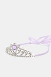 Tiara  Orchid  hi-res