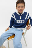 Quarter Zip Logo Knit  French Navy  hi-res