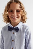 Spot Bowtie  Multi  hi-res