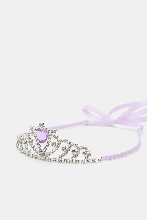 Tiara  Orchid  hi-res