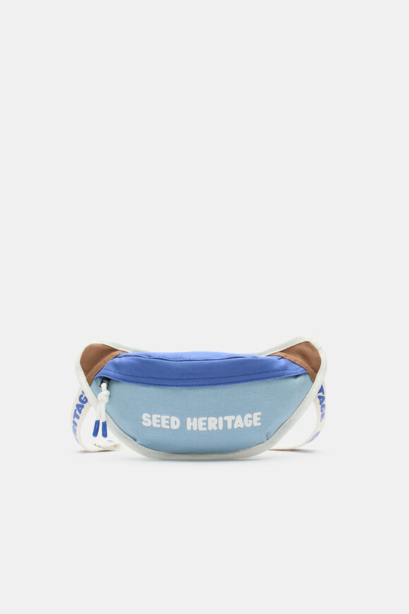 Retro Bum Bag  Blue Multi  hi-res