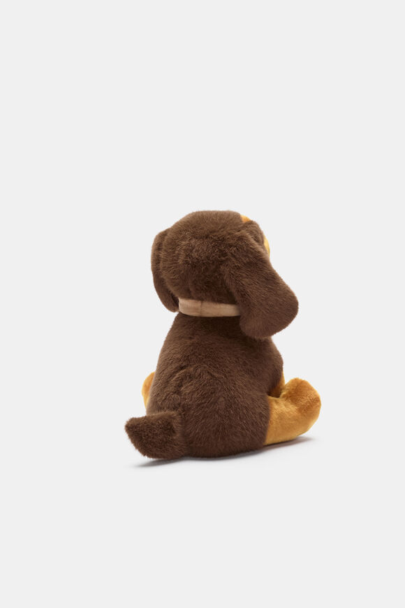 Keeleco Dachshund  Multi  hi-res