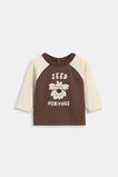 Pup Raglan Tee  Cacao  hi-res