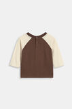 Pup Raglan Tee  Cacao  hi-res