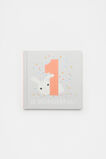 One Is Wonderful Book  Multi  hi-res