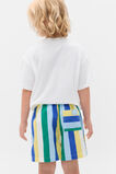 Multi Stripe Vacay Short  Apple Multi  hi-res