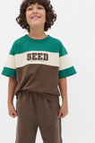 Colourblock  Logo Tee  Cacao  hi-res