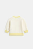 Contrast Rib Knit Sweater  Classic Cream  hi-res