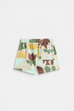 Abstract Print Short  Abstract Print  hi-res