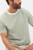 Stripe Crew Tee  Aloe Stripe  hi-res