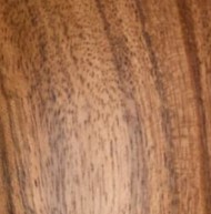 Acacia