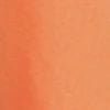 Soft Coral