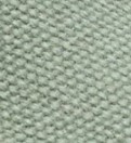 Dusty Cactus