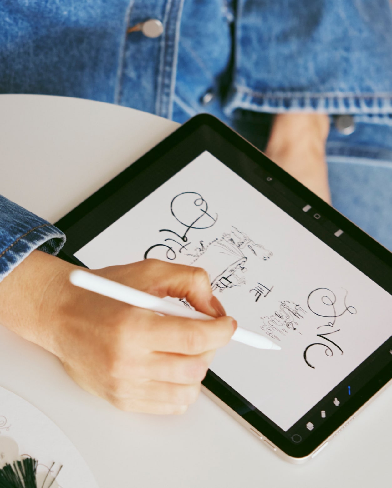 seed heritage x ALEXANDRA COLLINS