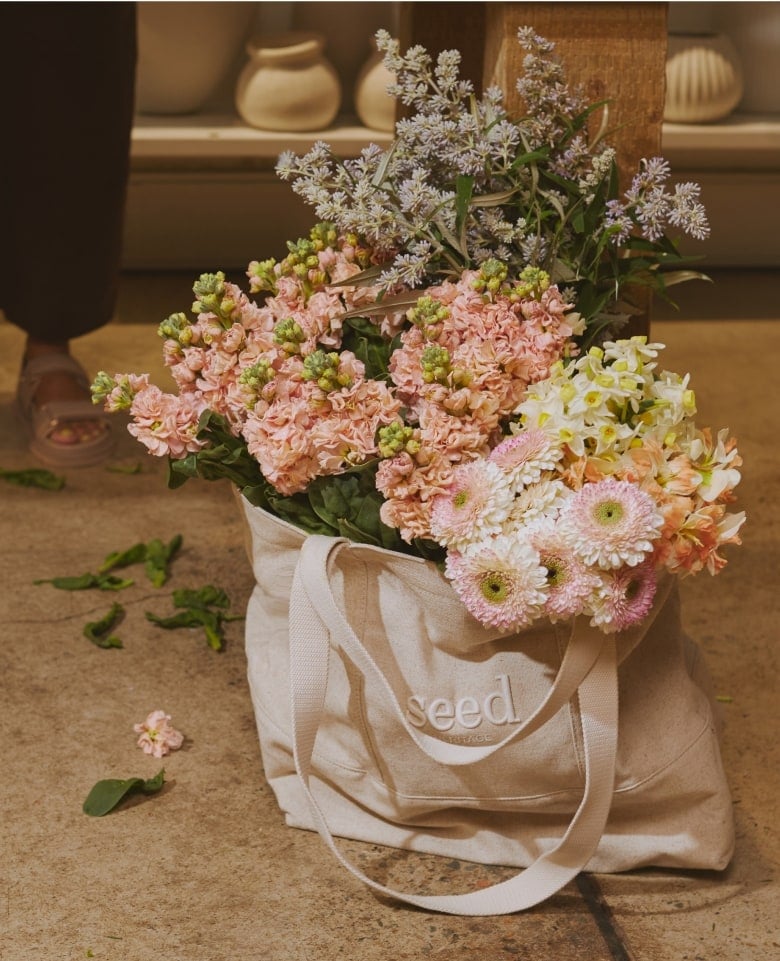 seed heritage x myra perez