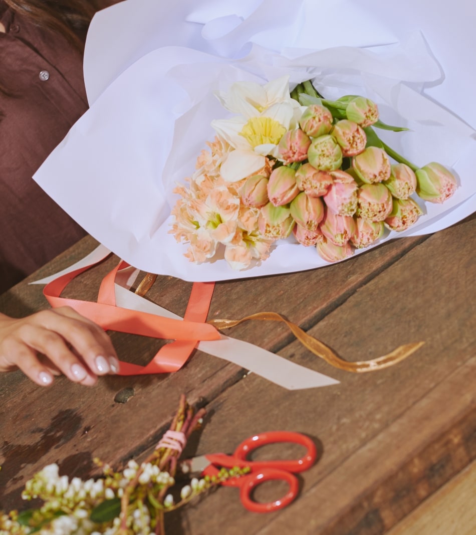 seed heritage x myra perez