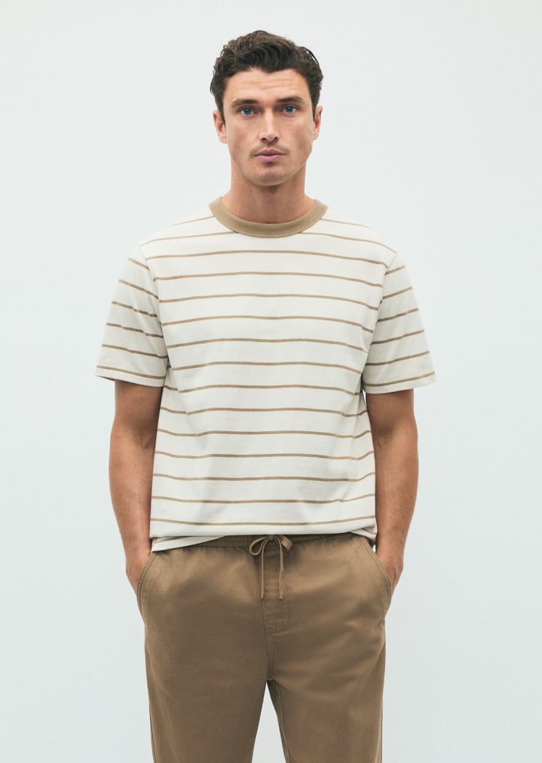 Seed Hero carousel banner