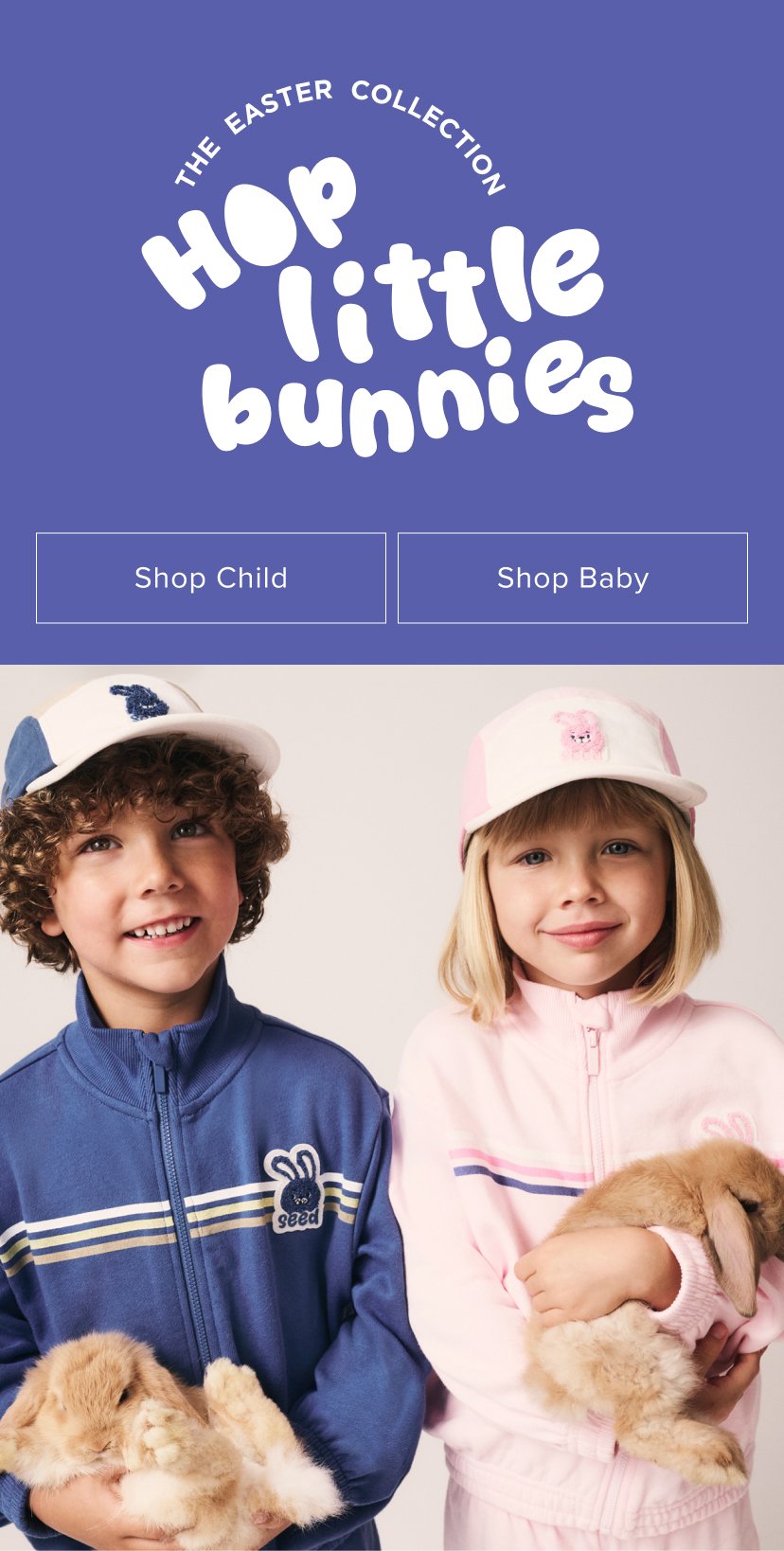 Seed Hero carousel banner