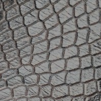 Coffee Bean Snake Print