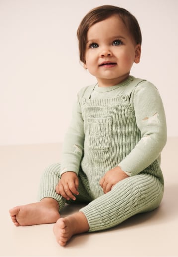 Seed Hero carousel banner