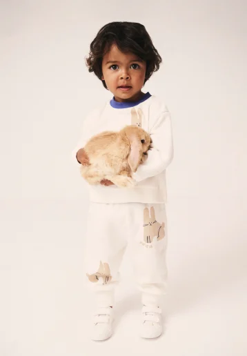 Seed Hero carousel banner