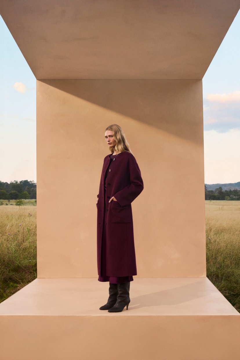 Seed Hero carousel banner