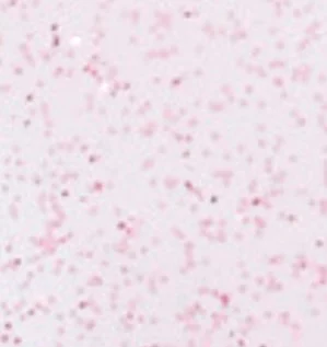 Pink Glitter