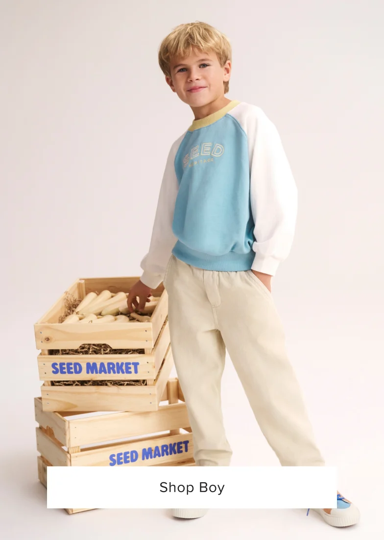 Seed Hero carousel banner