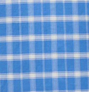 Blue Haven Check