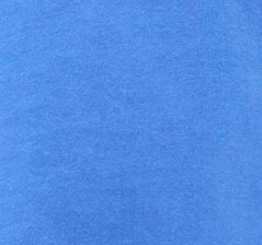Electric Blue
