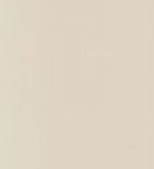 Egg Shell