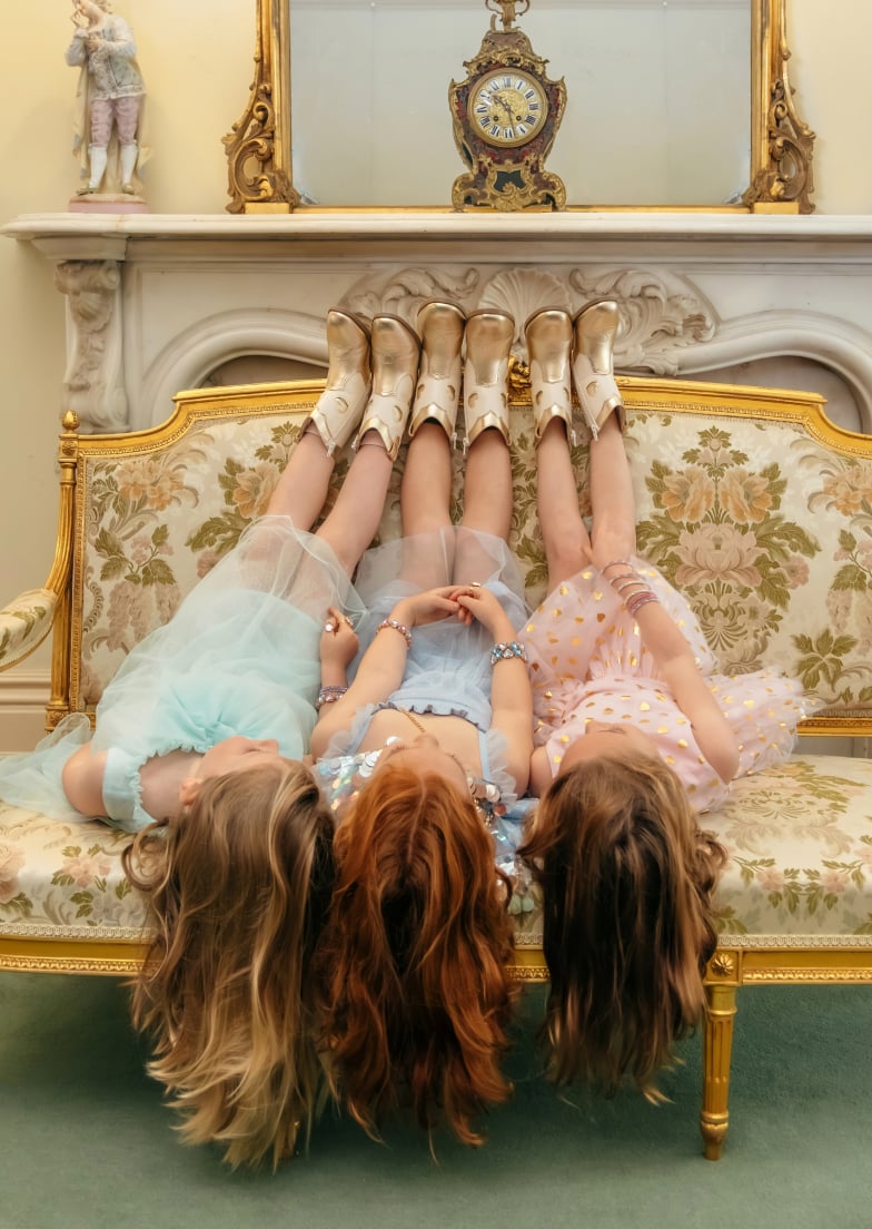 Seed Hero carousel banner