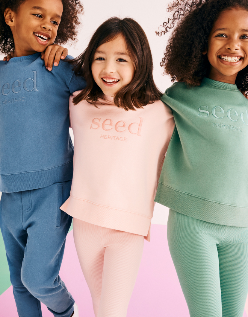 Seed Hero carousel banner